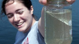 A student holding up a jar of water in front of the ocean - Link to Marine Biology Programs