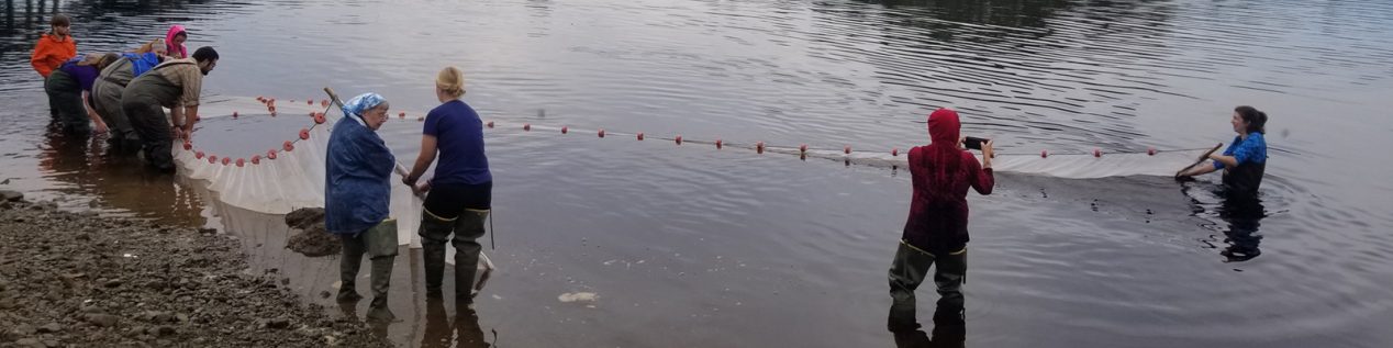 Students moving a large net in the water