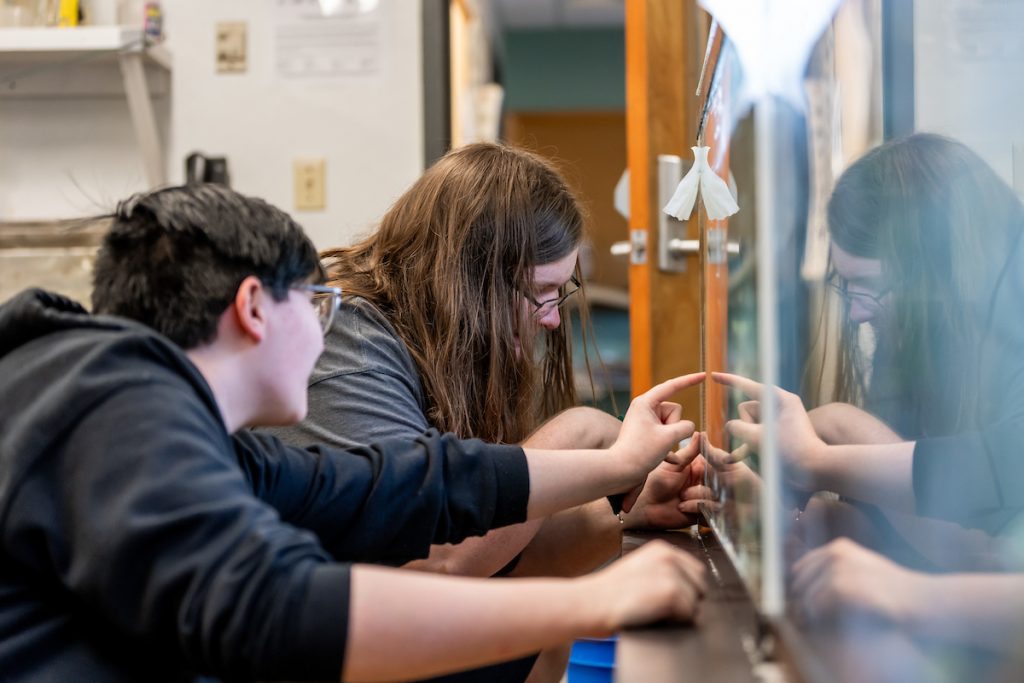 Two students tend the fish tanks in the Science building