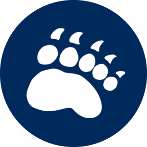 Bear paw icon