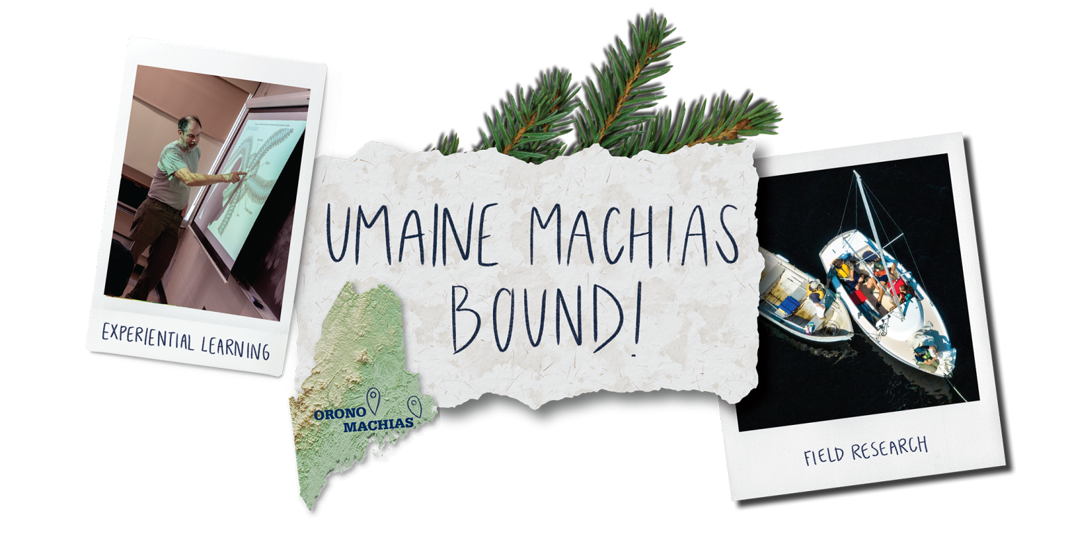 UMaine Machias Admissions Admissions