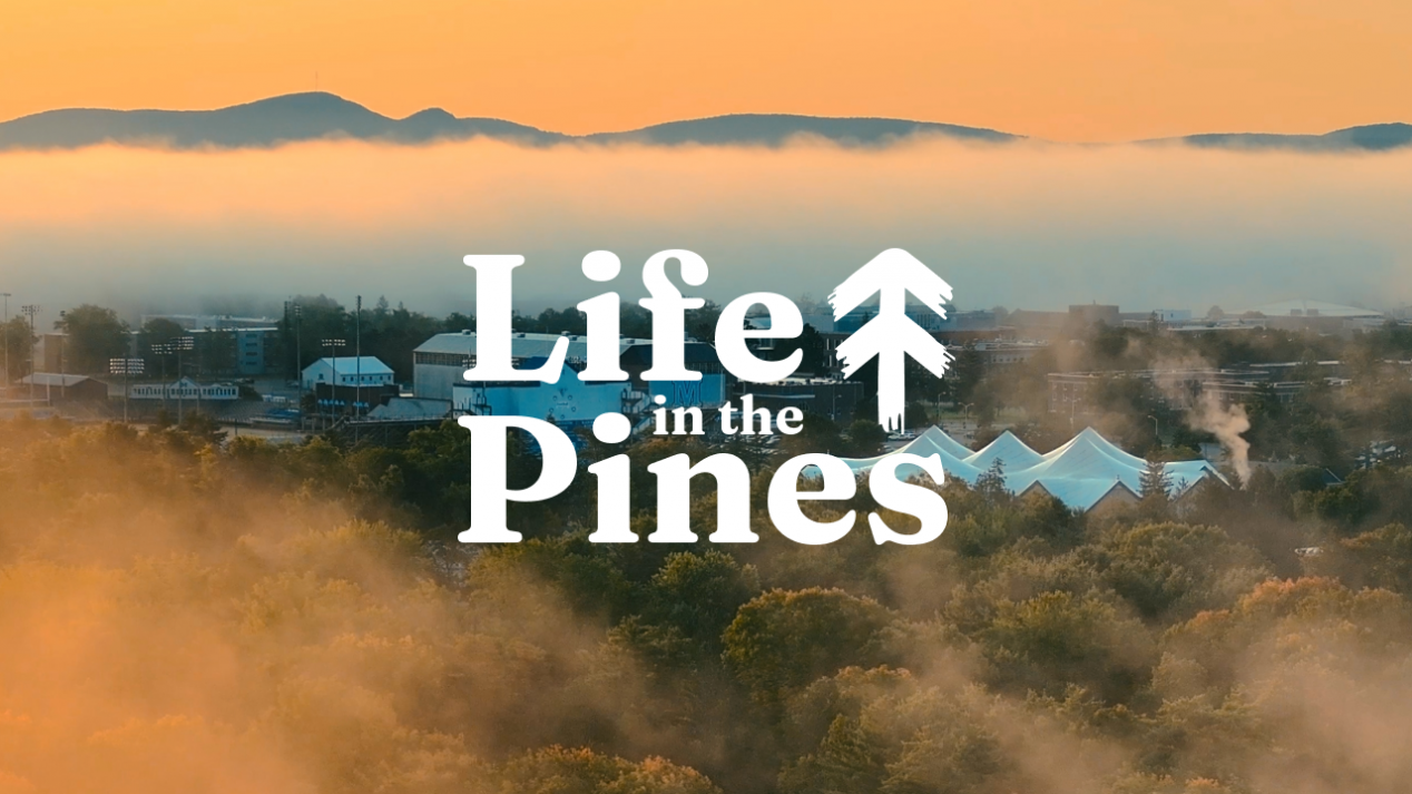Youtube link showing Life in the Pines with sea smoke and coastland in the background