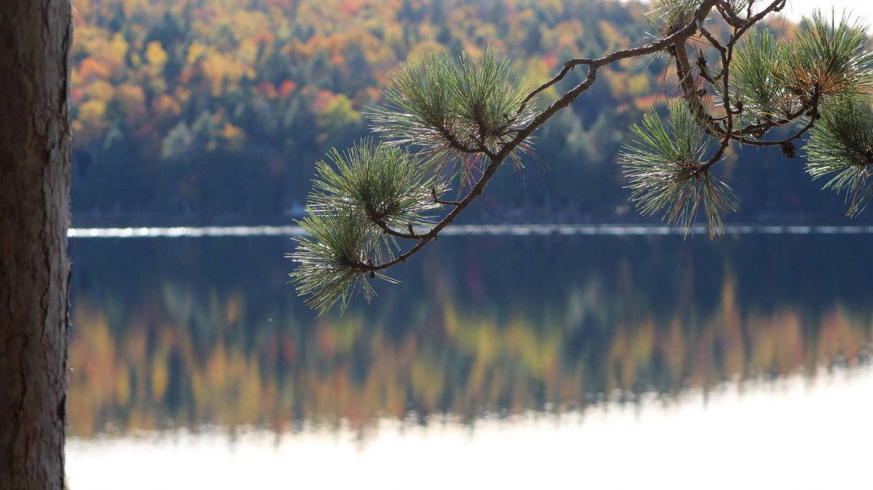 An image of a lake in autumn