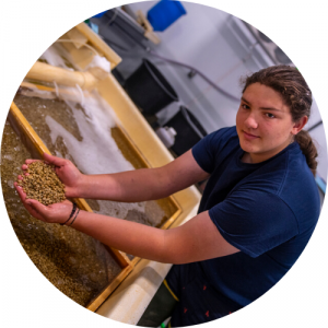 Student holding small shellfish from a tank. Link to Aquaculture pathway.
