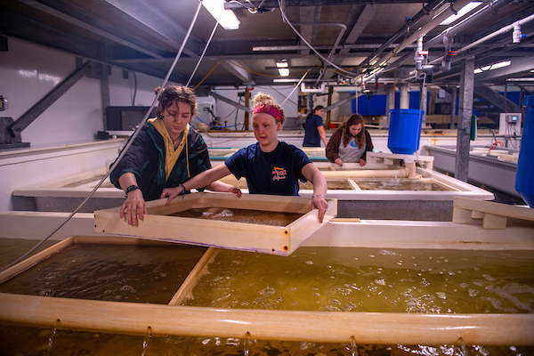 Students at Downeast Institute, UMM's Marine Science Field Station