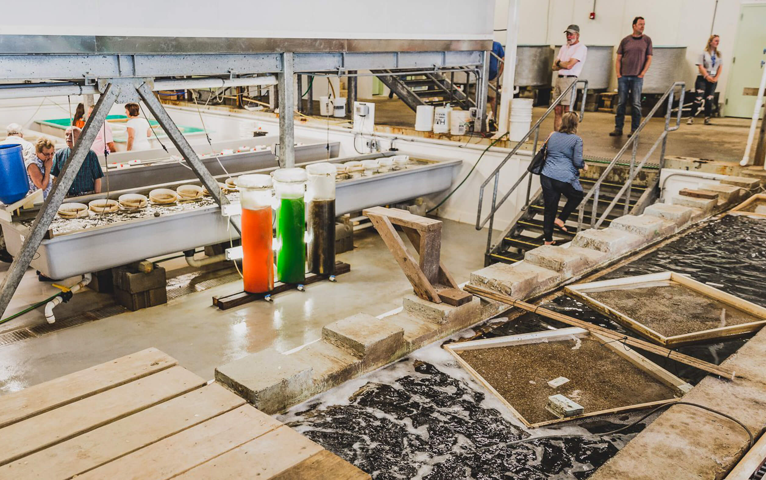 People working in the Downeast Institute 