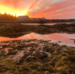 Sunrise Beals island