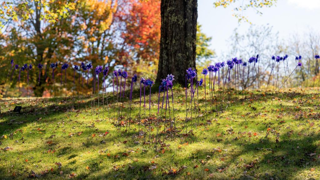 A photo of pinwheels on a hill.
