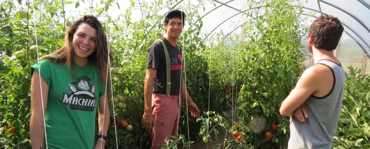 Students visiting a farm as part of a community-engaged course