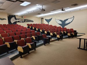 Entry view from Science 102. Stadium seating with maroon chair backs and wooden, movable desk pieces. A whale tale is painted on the right wall and bones of a whales fin are on the back wall.