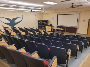 View from the back of Science 102, stadium seating with a whiteboard / projector screen in the front a podium and a whale fin painting on the left wall.