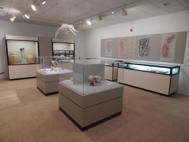 Maine History and Petroglyph Exhibit encased in class boxes, and displayed on the walls