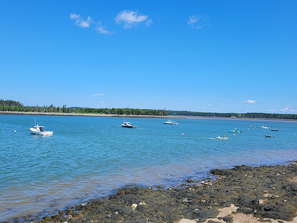 Boats at Roque Bluffs - low tide