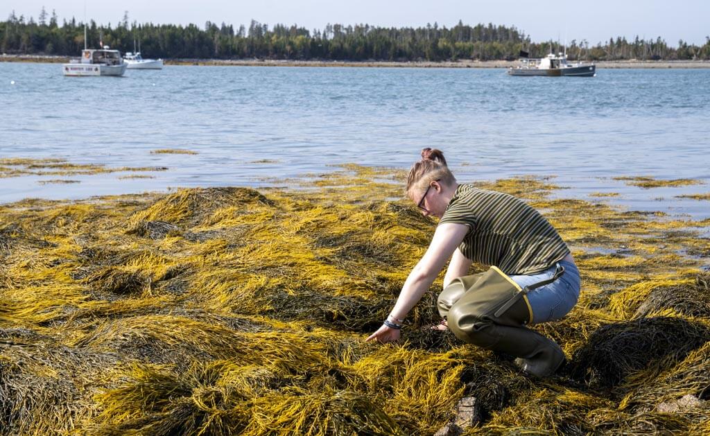 A photo of a student on Maine's coast